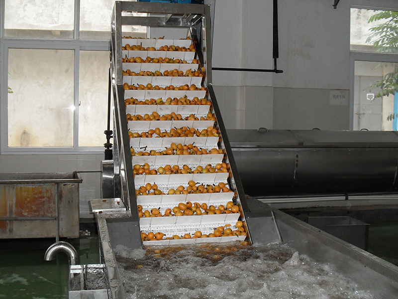枇杷清洗机.jpg